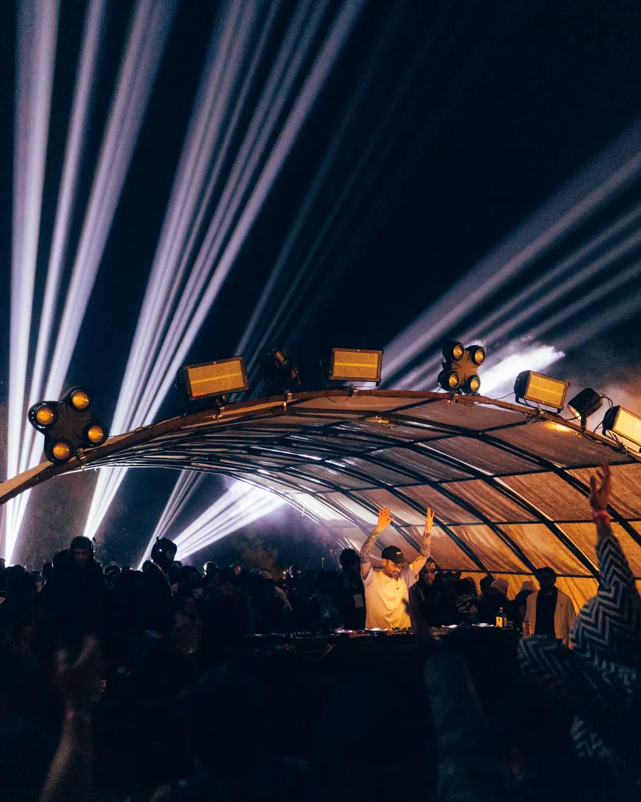White beams raking across the canopy